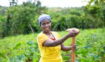 Woman farms her crops in Burundi
