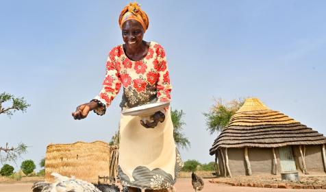 Woman feeding a pair of chickens